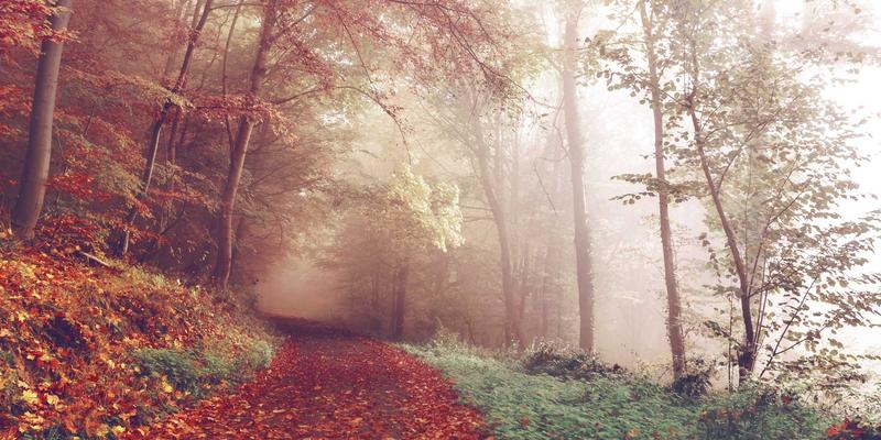 富裕信息港探秘：满族萨满剪纸与民歌的活态传承，文旅融合创新之路