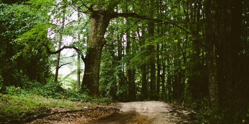 富裕信息港深度观察：风能太阳能开发如何驱动本地经济转型与绿色崛起