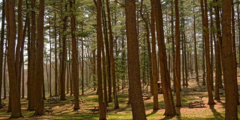 富裕信息港聚焦：现代物流枢纽如何打通农产品外运‘最后一公里’