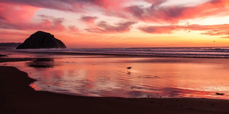 富裕县50：解码0452区号下的本地生活密码与商家机遇