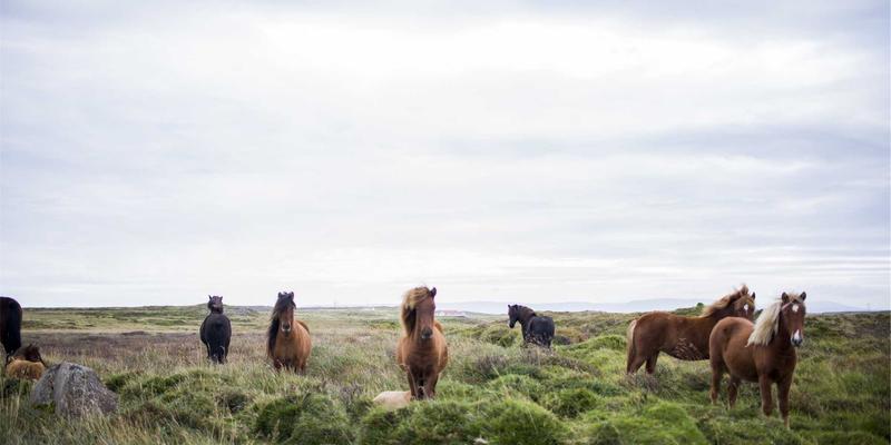 富裕县84：解锁0452区号的便民服务与商家生态全指南