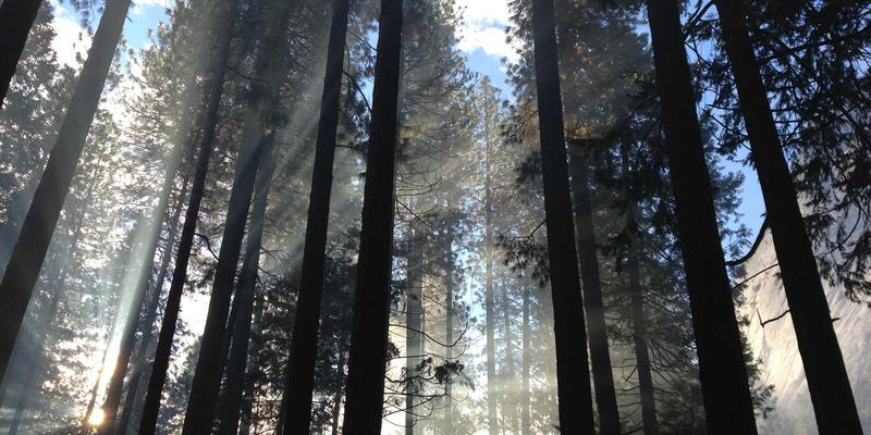 富裕县97：探索富裕信息港，连接本地商家与最新资讯