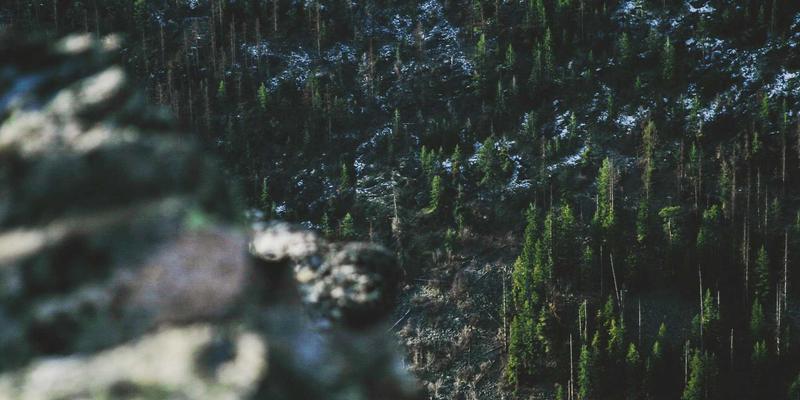 富裕县养老服务体系建设：探索城乡融合下的多元化养老模式，打造本地便民服务新标杆