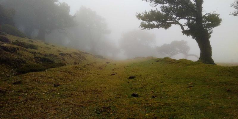 富裕县农村电商发展模式解析：富裕商家如何借力富裕信息港实现农产品上行