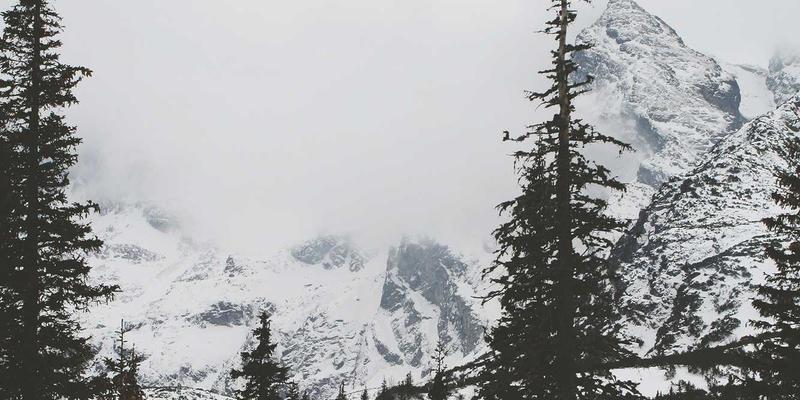 富裕县农村金融创新服务如何赋能新型农业经营主体——富裕信息港与富裕商家的实践探索