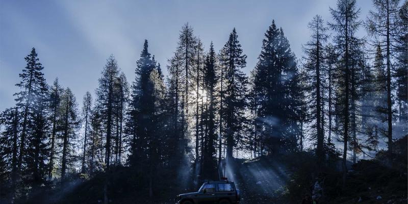 富裕县：北疆沃土上的发展明珠，便民服务与信息港建设双轮驱动