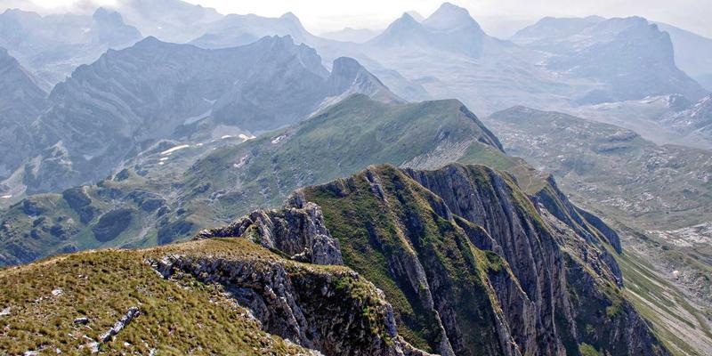 富裕县发展新思路：商家、资讯与本地生活的三位一体实践
