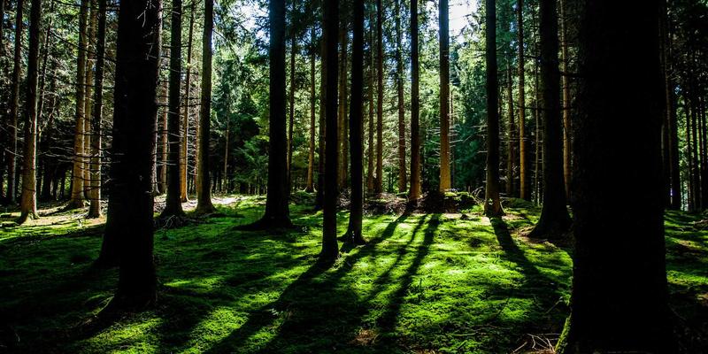 富裕县城乡供水一体化工程：保障饮水安全，筑牢乡村振兴根基 | 富裕资讯