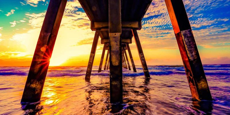 富裕县盐碱地治理与综合利用：生态修复与特色种植的双赢实践