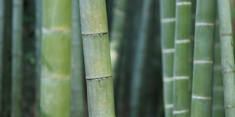 富裕县社区养老服务新篇章：探索农村互助养老与智慧康养融合之路