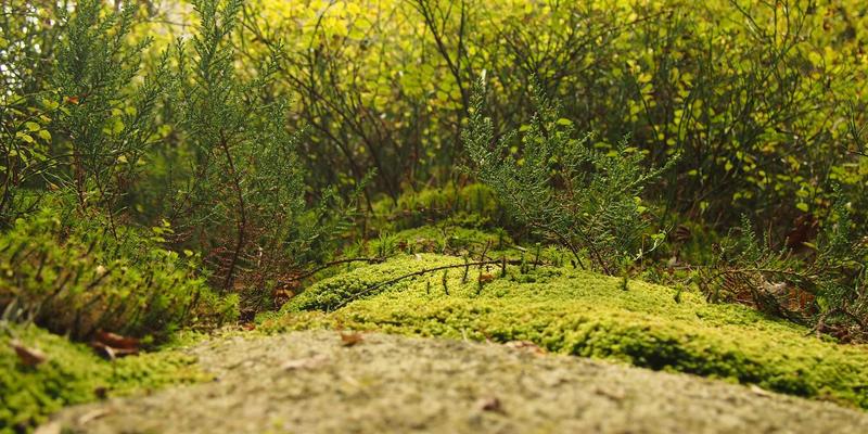 富裕县社区居家养老服务模式探索：应对人口老龄化的‘富裕方案’