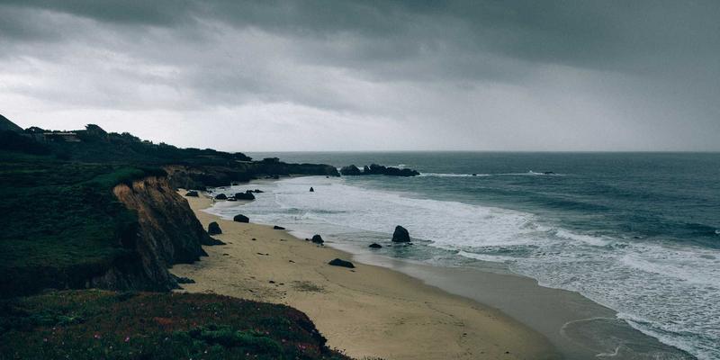 富裕资讯：盐碱地如何变良田？探索富裕县特色经济作物种植新路径
